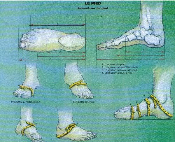 Q & Answer: How Do You Pick the Right Shoe Size Online?